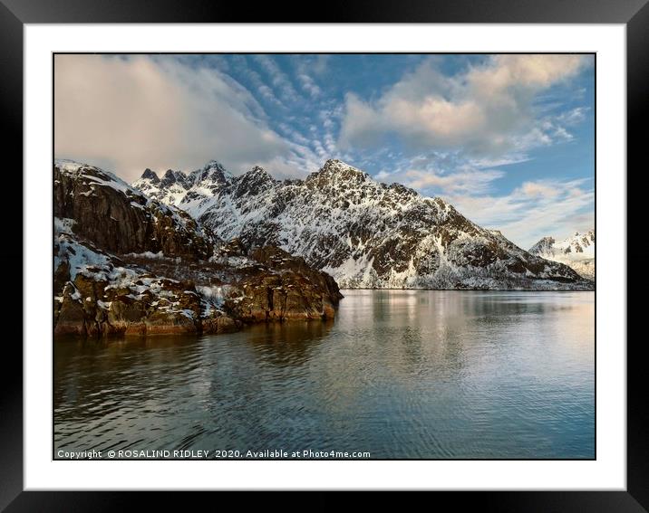 "Reflections in icy waters" Framed Mounted Print by ROS RIDLEY