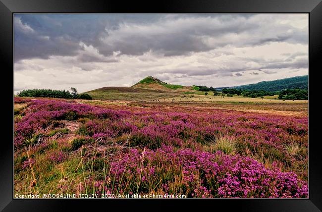 "Threatening clouds over the North York moors" Framed Print by ROS RIDLEY