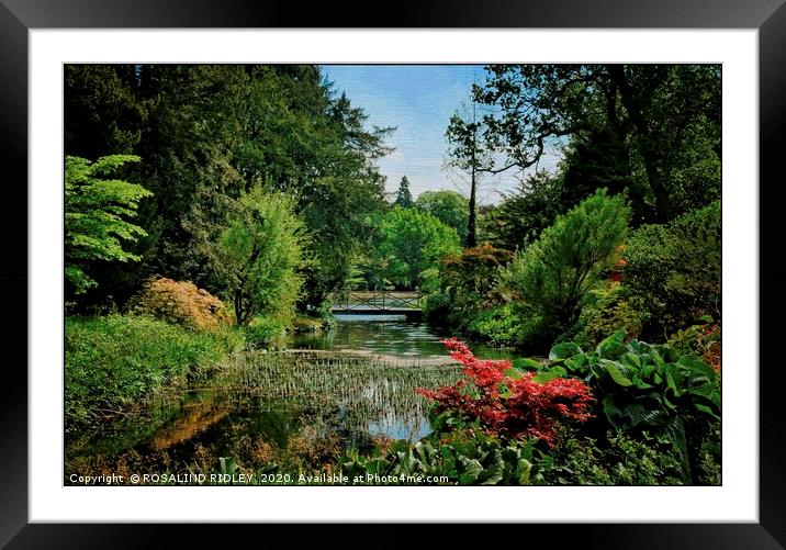 "Thorp Perrow in bloom" Framed Mounted Print by ROS RIDLEY