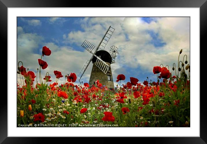 "Poppies at the windmill" Framed Mounted Print by ROS RIDLEY