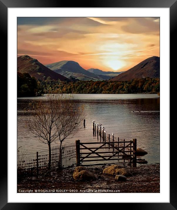 "Portrait of Derwentwater" Framed Mounted Print by ROS RIDLEY