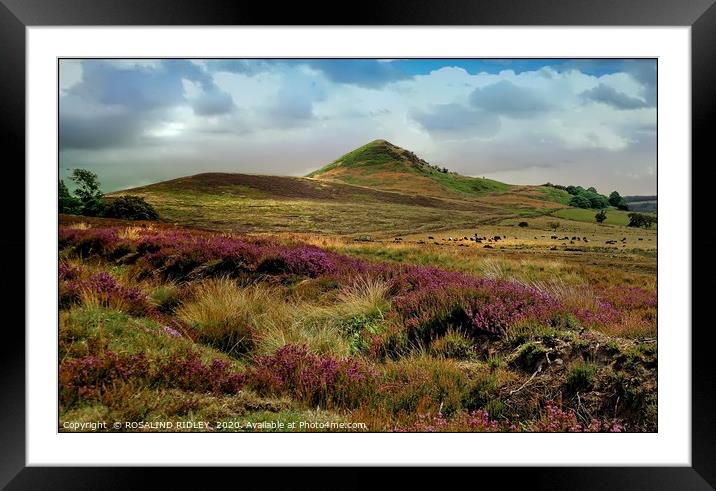 "Evening light North York Moors" Framed Mounted Print by ROS RIDLEY