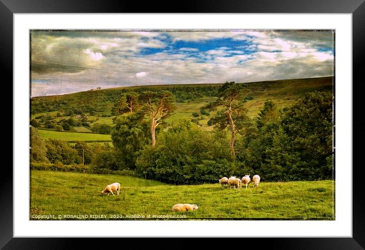 "Bucolic Yorkshire" Framed Mounted Print by ROS RIDLEY