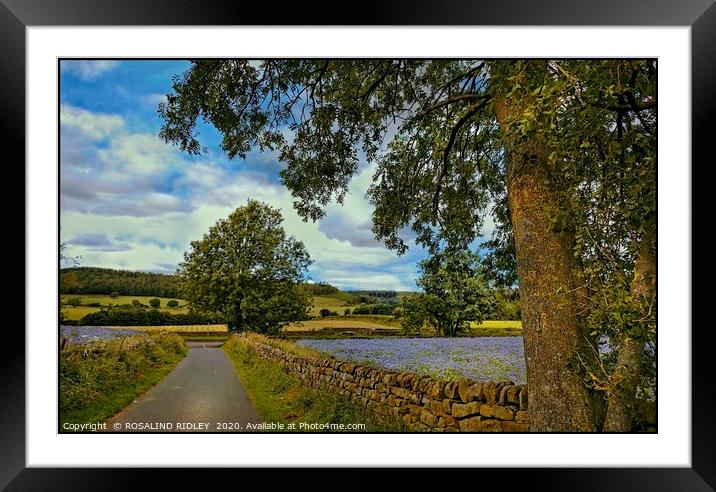 "Country lane in Kildale" Framed Mounted Print by ROS RIDLEY