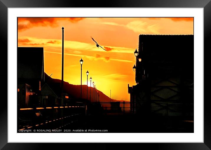 "Golden Saltburn" Framed Mounted Print by ROS RIDLEY