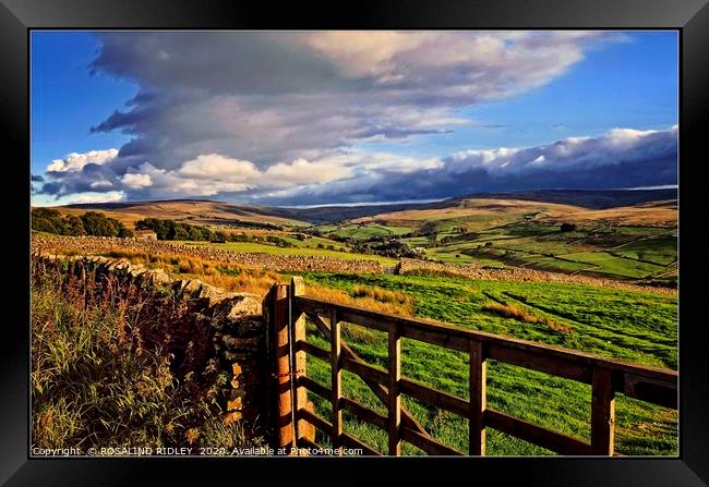"Over the gate" Framed Print by ROS RIDLEY