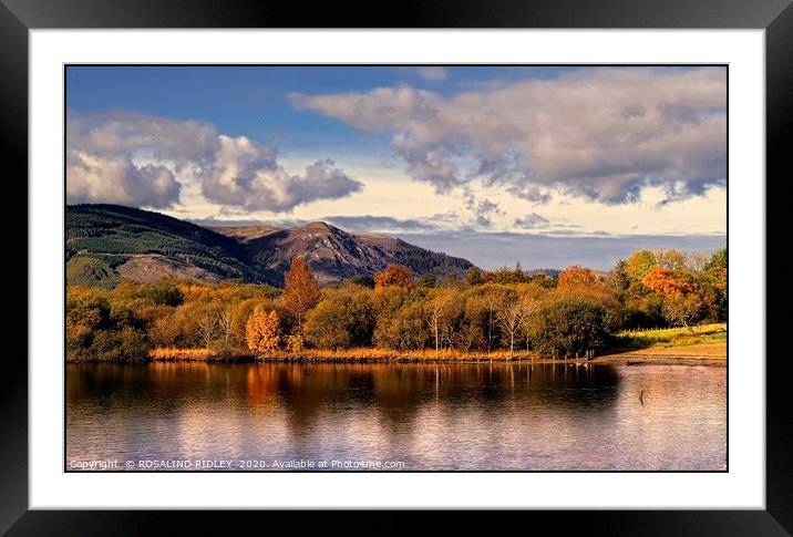 "Derwentwater evening " Framed Mounted Print by ROS RIDLEY