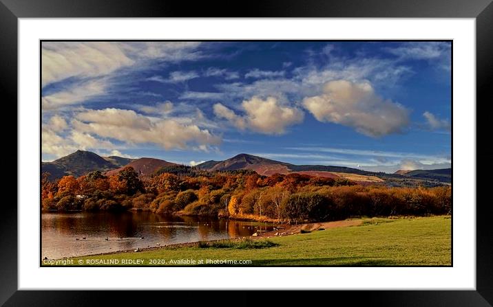 "Autumn colours at Catbells" Framed Mounted Print by ROS RIDLEY