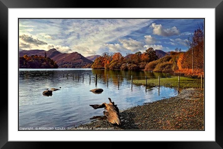 "Log by the lake 2" Framed Mounted Print by ROS RIDLEY