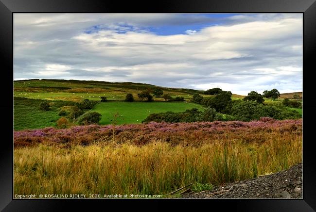 "Blue skies over Commondale Common " Framed Print by ROS RIDLEY
