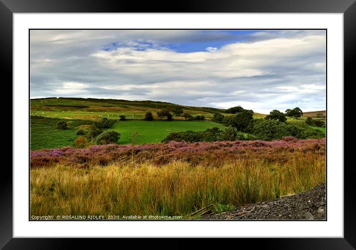 "Blue skies over Commondale Common " Framed Mounted Print by ROS RIDLEY