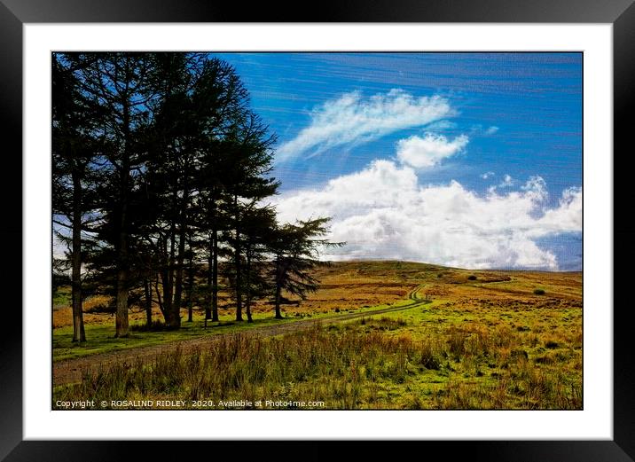 "Breezy day at the moors" Framed Mounted Print by ROS RIDLEY
