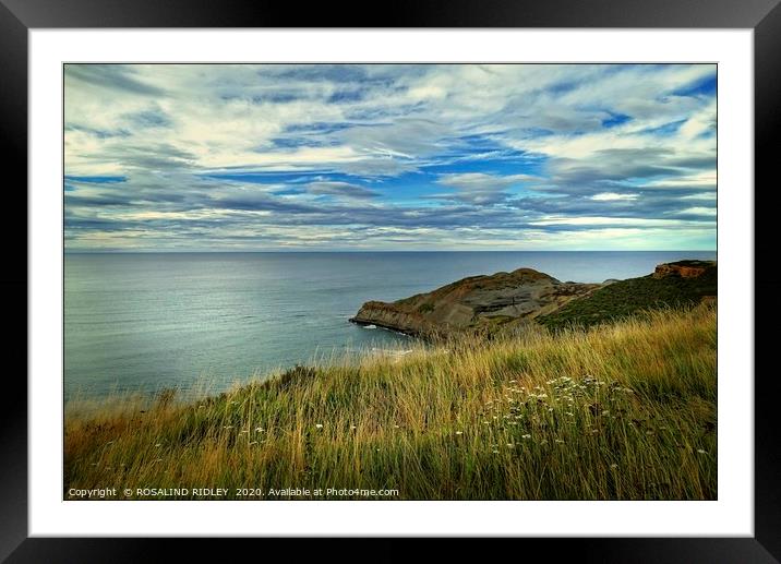 "Standing on the edge " Framed Mounted Print by ROS RIDLEY