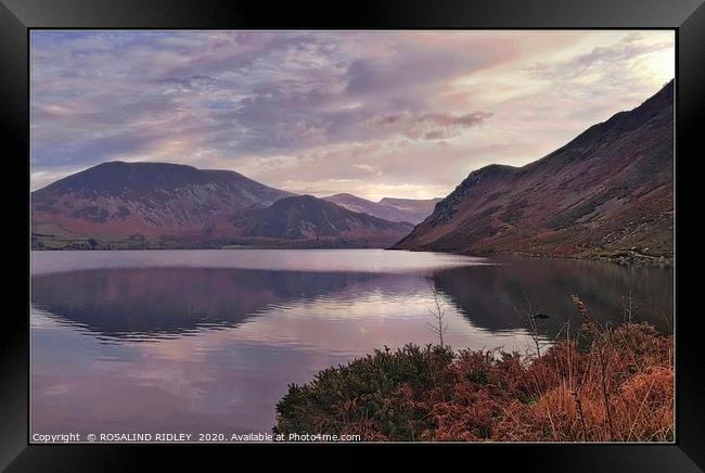 "Misty reflections at Ennerdale Water " Framed Print by ROS RIDLEY