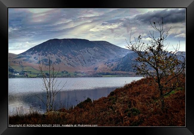 Autumn morning mists at Ennerdale water Framed Print by ROS RIDLEY