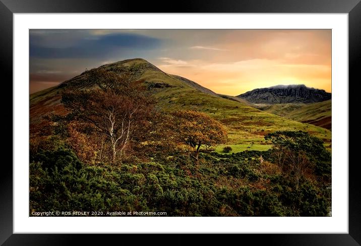 Autumn evening at Scafell Framed Mounted Print by ROS RIDLEY
