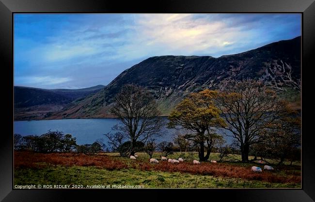 "Cool Blue Crummock " Framed Print by ROS RIDLEY