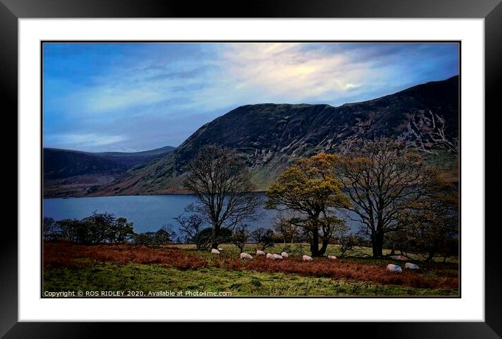 "Cool Blue Crummock " Framed Mounted Print by ROS RIDLEY