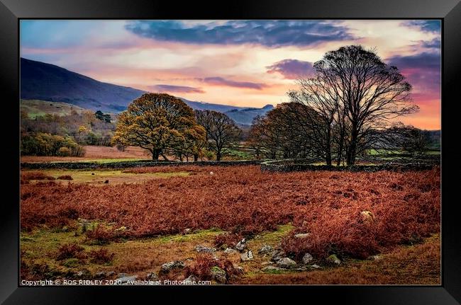 Wasdale Late Autumn  Framed Print by ROS RIDLEY