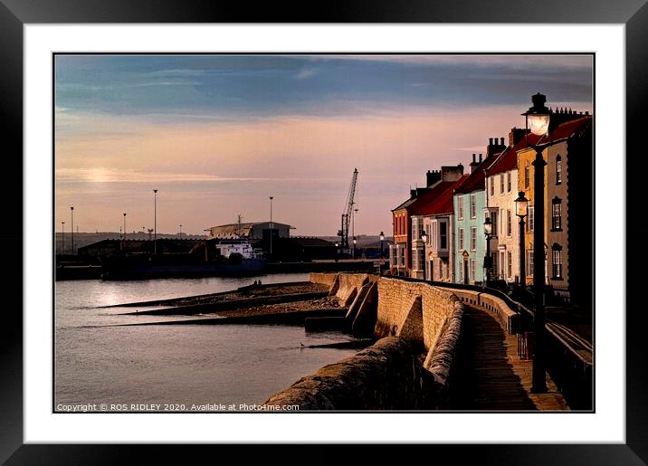 The Houses of Hartlepool Headland Framed Mounted Print by ROS RIDLEY