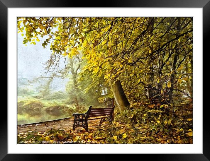 Take a seat in a misty wood Framed Mounted Print by ROS RIDLEY