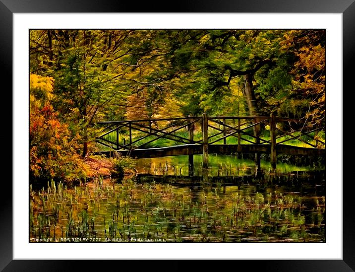 Autumn at the bridge Framed Mounted Print by ROS RIDLEY