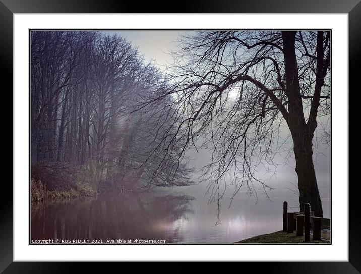 "Mists at Garden River" Framed Mounted Print by ROS RIDLEY