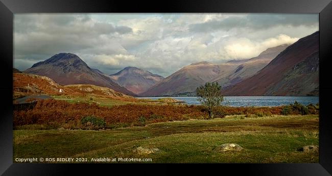 Storm clouds gather at Wastwater Framed Print by ROS RIDLEY