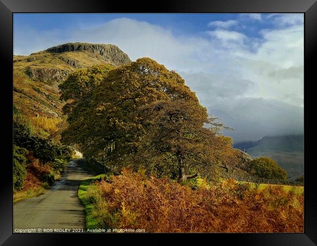 Winding road through Wasdale Framed Print by ROS RIDLEY