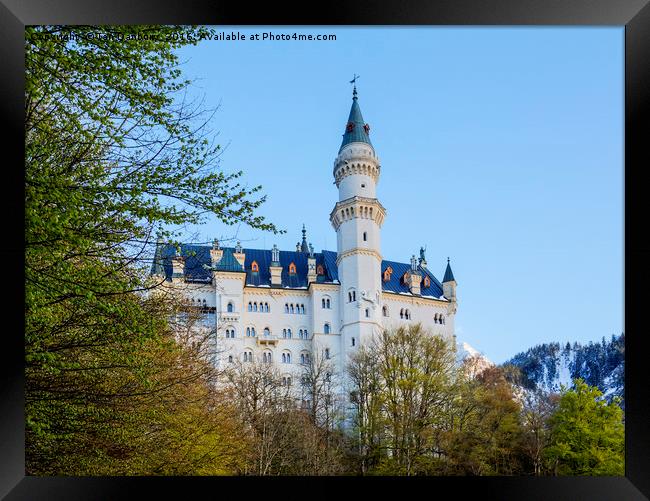 Neuschwanstein Castle Framed Print by Ian Danbury