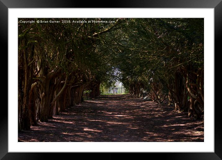 Avenue to the Gate Framed Mounted Print by Brian Garner
