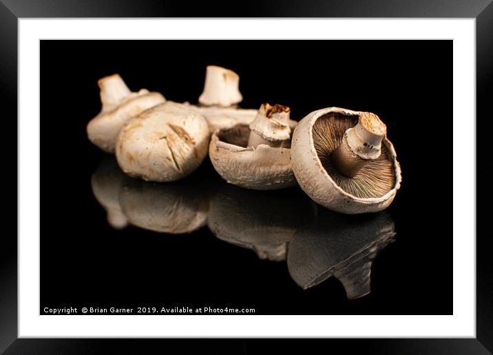 Mushroom Still Life Framed Mounted Print by Brian Garner