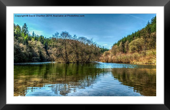  Lake Scene Framed Mounted Print by David Charlton