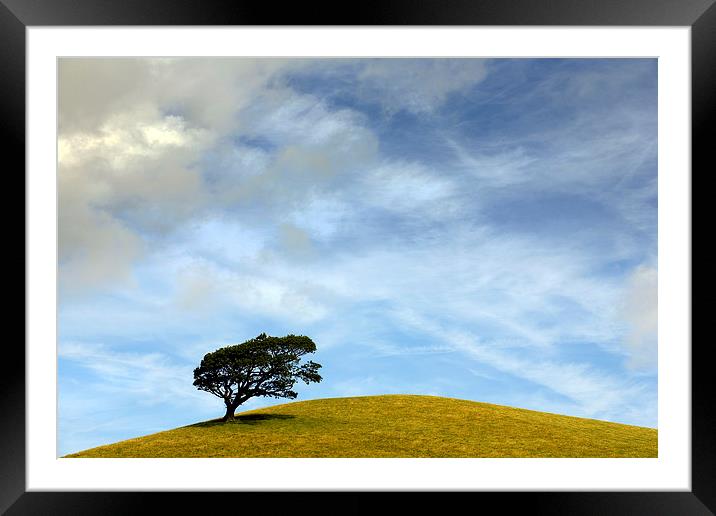  One Tree Hill Framed Mounted Print by Mal Bray