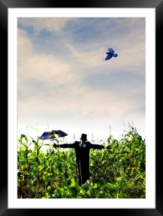 A human scarecrow in the corn  Framed Mounted Print by Mal Bray