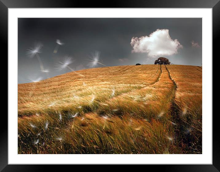  Another Windy Day Framed Mounted Print by Mal Bray