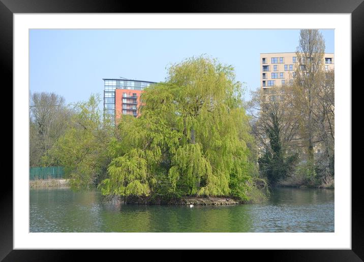  Chelmsford Central Park Framed Mounted Print by John Bridge