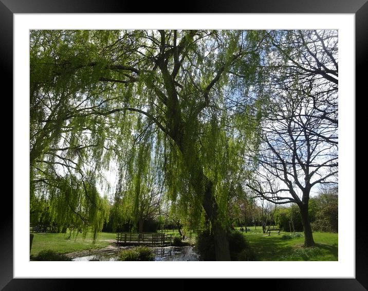 Chalkwell Park Framed Mounted Print by John Bridge