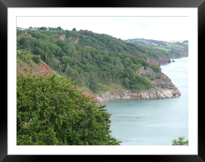 Coastal View from Babbacombe Downs  Framed Mounted Print by John Bridge