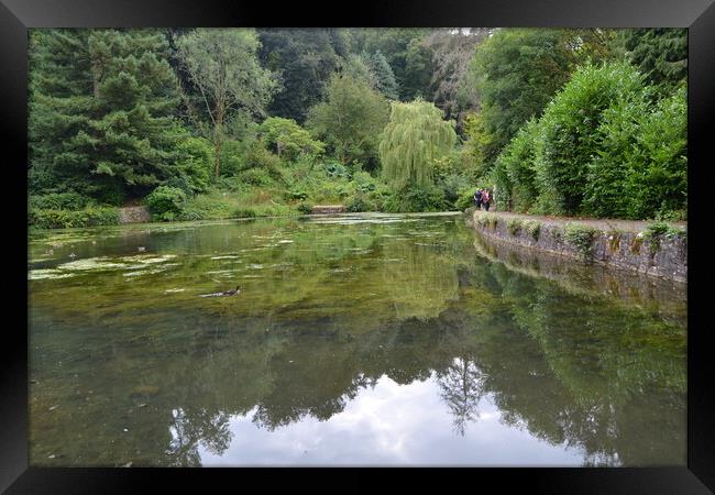 Cockington Lake Framed Print by John Bridge