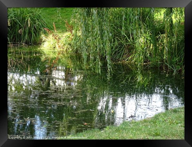 Reflections in Chalkwell Park Framed Print by John Bridge