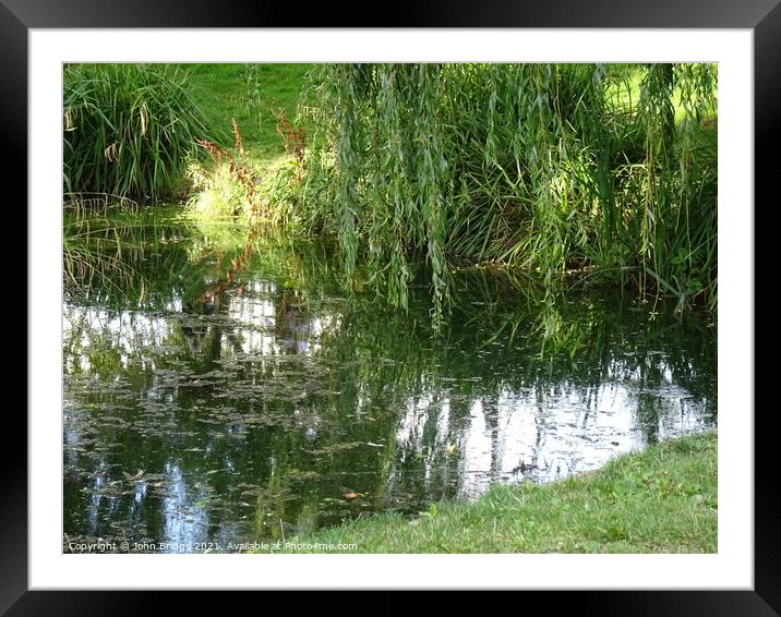 Reflections in Chalkwell Park Framed Mounted Print by John Bridge