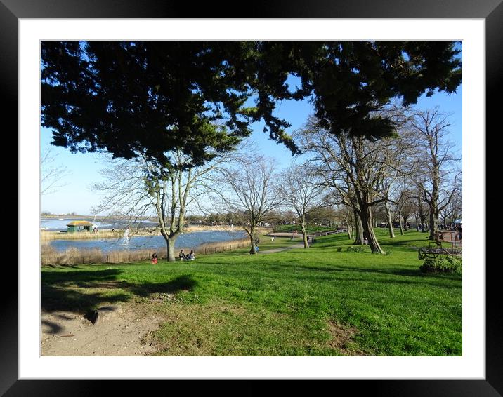 Promenade Park Maldon Framed Mounted Print by John Bridge