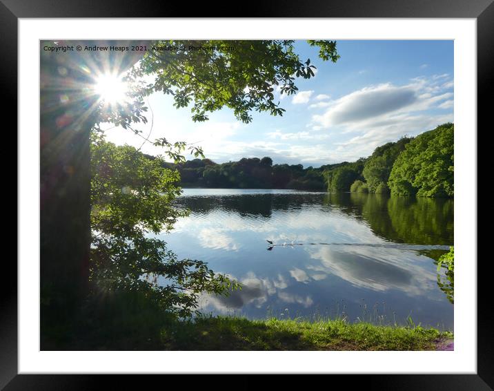 Knypersley reflections on reservoir with sun star burst. Framed Mounted Print by Andrew Heaps