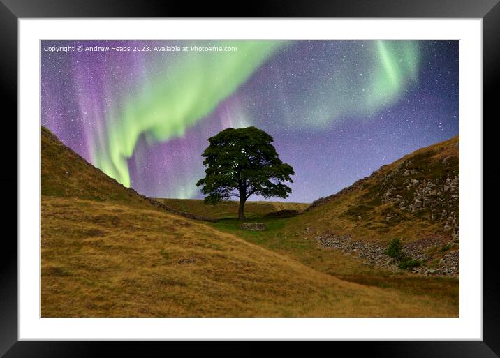 Sycamore gap with Northern lights  Framed Mounted Print by Andrew Heaps