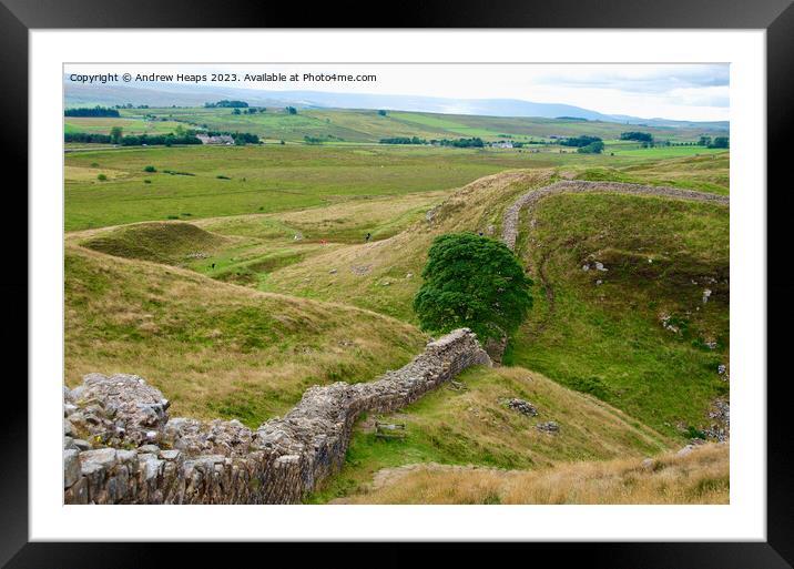 Sycamore Gap (Hadrians wall) Framed Mounted Print by Andrew Heaps