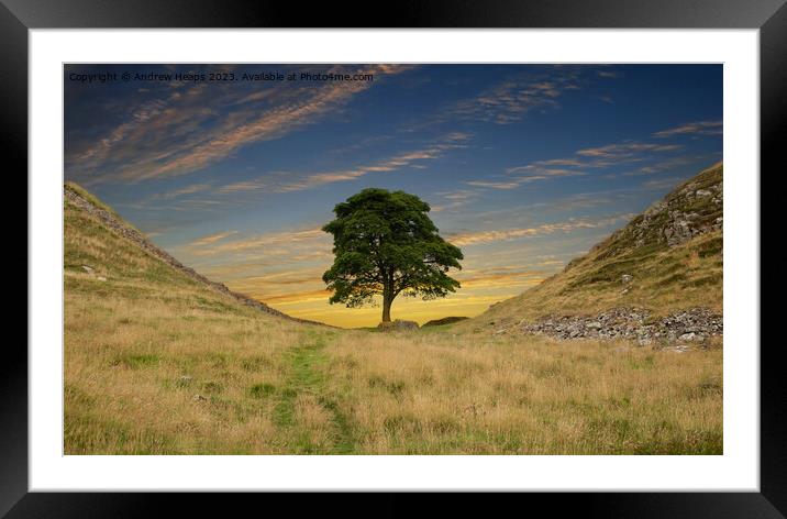  Sycamore gap  on Hadrians Wall and clouds Framed Mounted Print by Andrew Heaps