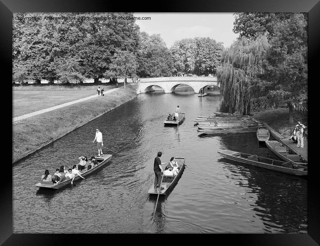 Punting in Cambridge on river on a  summers day  Framed Print by Andrew Heaps