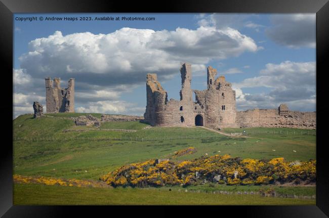 Dunstanburgh Castle ruins in summer sunshine. Framed Print by Andrew Heaps