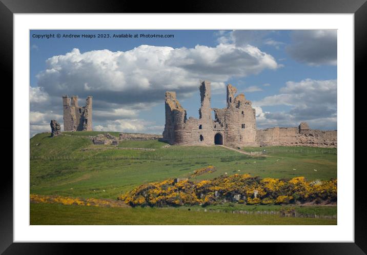 Dunstanburgh Castle ruins in summer sunshine. Framed Mounted Print by Andrew Heaps